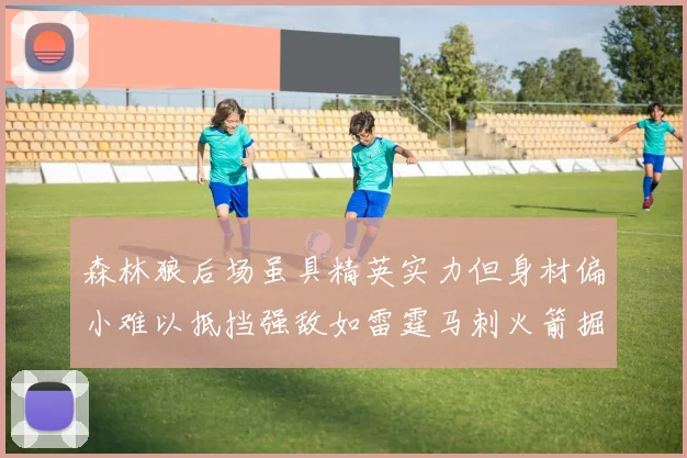 森林狼后场虽具精英实力但身材偏小难以抵挡强敌如雷霆马刺火箭掘金
